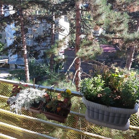 Apartamento Londa Borjomi Exterior foto